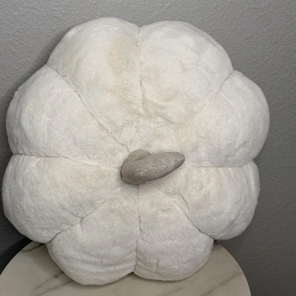 Martha Stewart Cream Plush Pumpkin Pillow Neutral Fall Autumn Farmhouse‎ 12x14